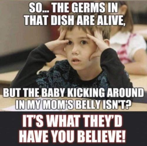 FB_IMG_1668378335393