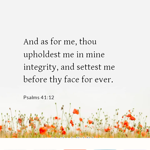 dailybible_20221110-202651_Psalms_41-12