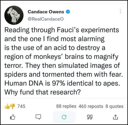 fauci236