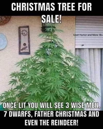 FB_IMG_1667833170103
