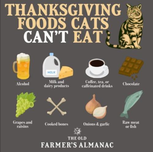 0B52636B-A719-4B97-82E7-1F80916C296B