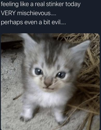 17:36:33 GMT-0500 (Eastern Standard Time).image