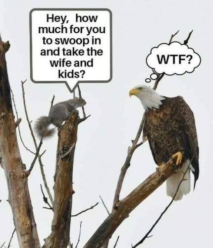FB_IMG_1668190928183