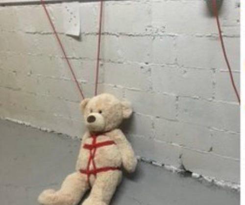 IMG_20221128_131135_781