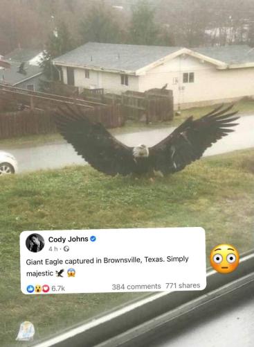 10:22:09 GMT-0500 (EST)