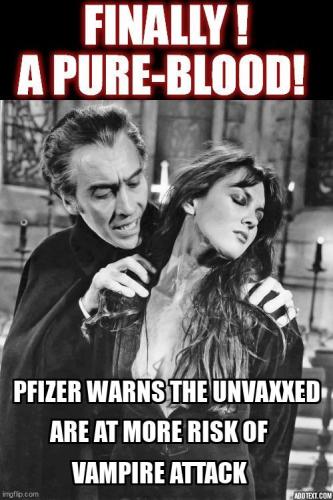 addtext_com_MTUwMjUxMzUwOTA