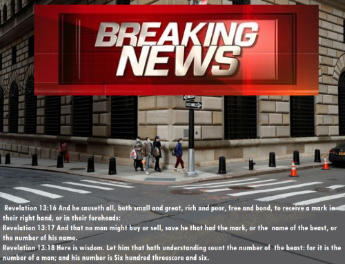 313076777_500413322119179_3295629778018672669_n