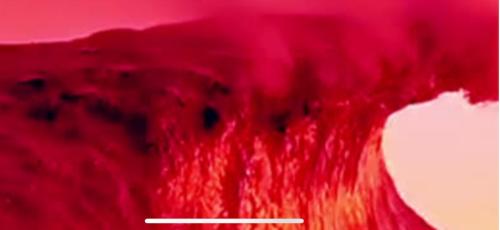 CD58D5E8-37E0-4C39-A277-7C379D043BCD