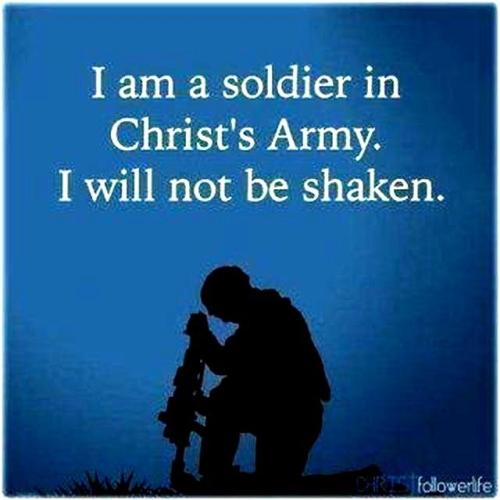 IMG_20221115_031648_880