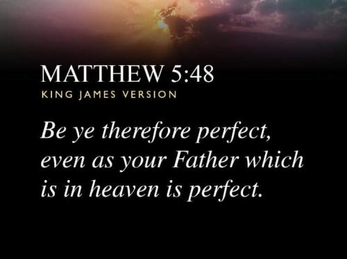 FB_IMG_1669557818552