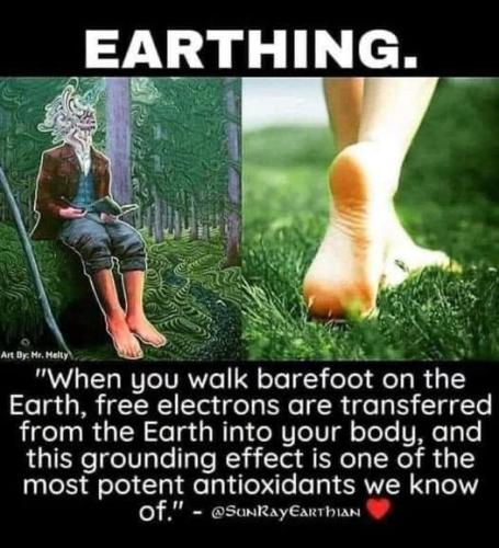 ,                                                                                                                                                                                                                          0 2