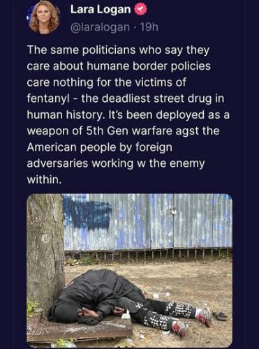 the wall247