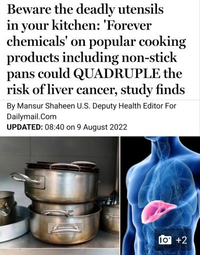 IMG_20221105_102701_052