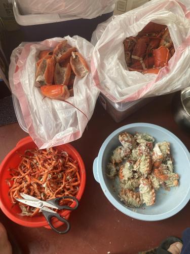 13:28:04 GMT-0400 (Eastern Daylight Time).image