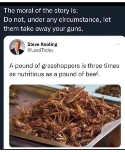 photo_2022-11-13_18-08-19