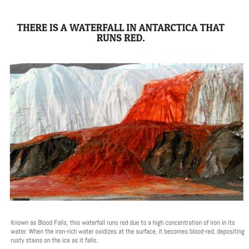 Collage Maker-05-Nov-2022-04.40-AM