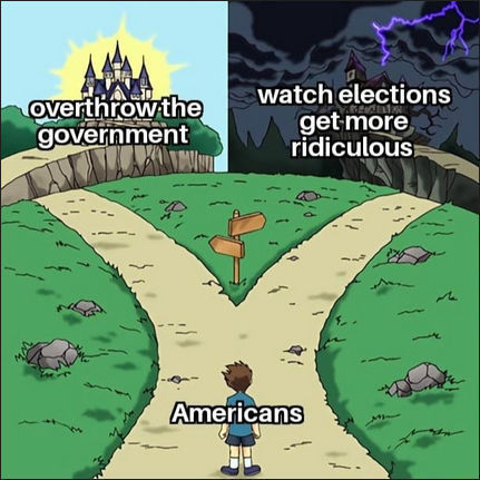 voterfraud378