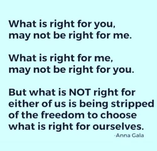 313335430_648109303649970_7141658498487009841_n