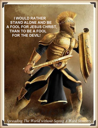 312532490_1491885337981136_2032019653933135032_n