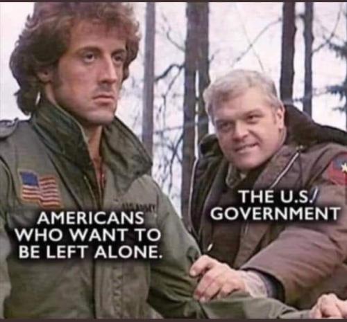 FB_IMG_1668355443713