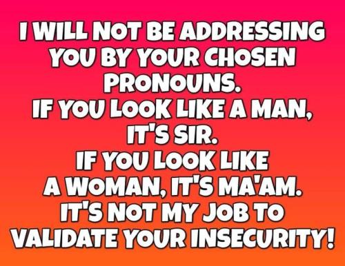 309608399_412069251042761_4672095005807333938_n