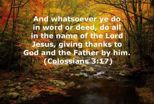 FB_IMG_1669297379154