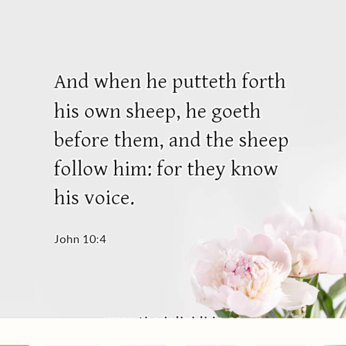 dailybible_20221119-160943_John_10-4