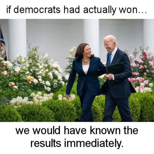 if democrats had actually won