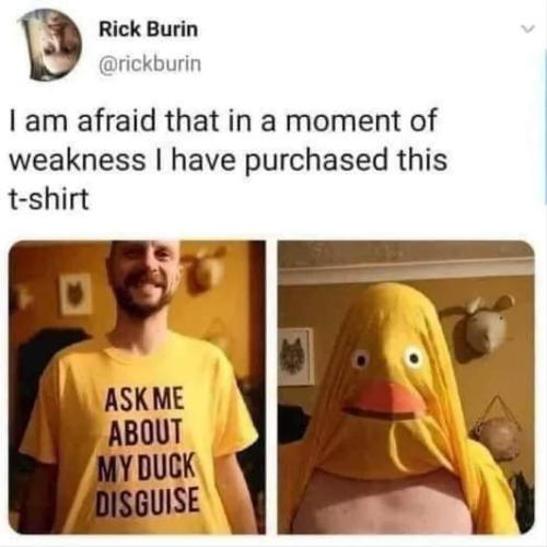 FB_IMG_1669174922236
