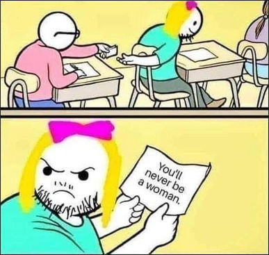 transgender256