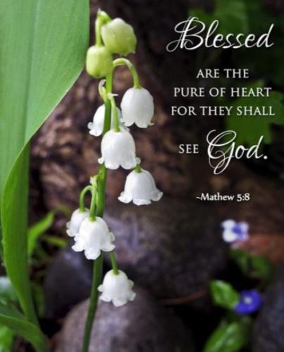 Screenshot_20221102_081033_Pinterest