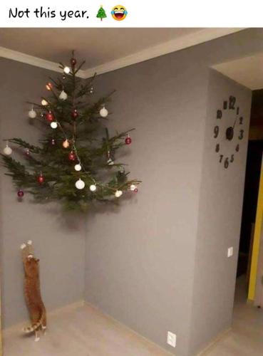 fcdd1f82-b63d-44f9-ab0f-11a9c4b7ebe5