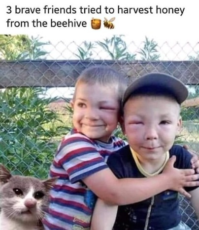 captures_chrome-capture-2022-10-7 (6)