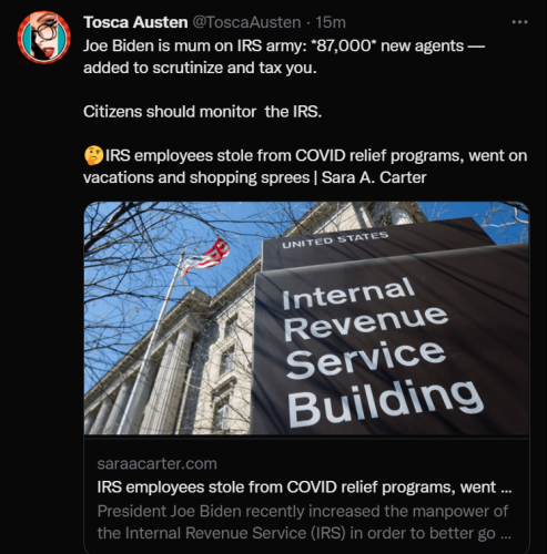 IRS 1