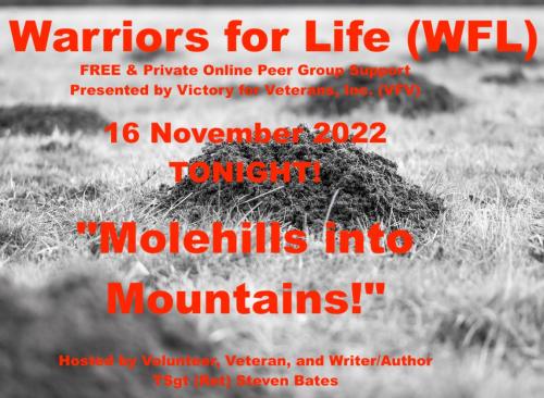 1-Mountain & Molehills