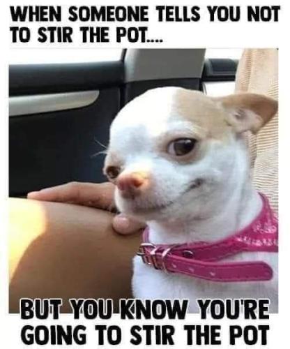 FB_IMG_1668547003089