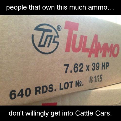 people that own this much ammo