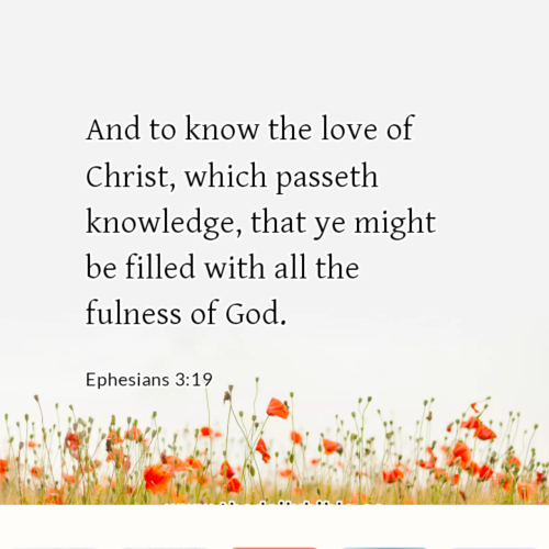 dailybible_20221120-232324_Ephesians_3-19