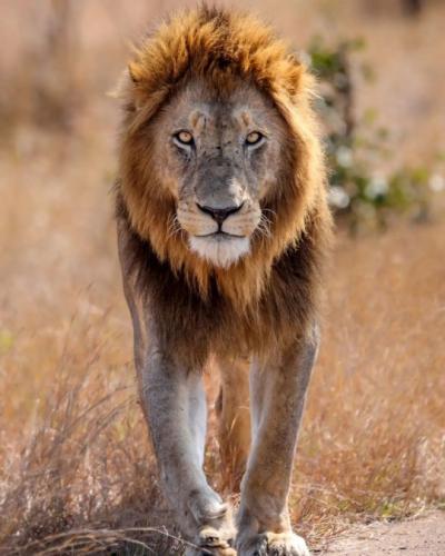 tumblr_212d01fc278e5e0e7adea65eb88307ee_3a970c08_540