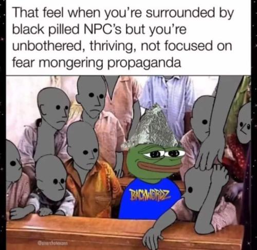 FB_IMG_1668617415435