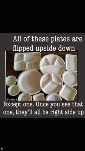 FB_IMG_1669015315536