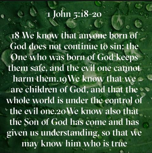 Screenshot_20221124-091920_Bible