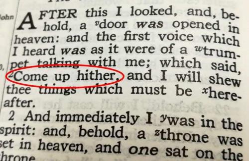 FB_IMG_1669297486244