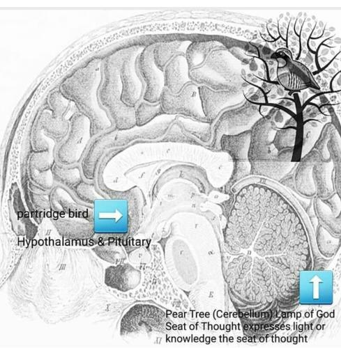 Screenshot_2022-11-26-08-33-35-48_1c337646f29875672b5a61192b9010f9