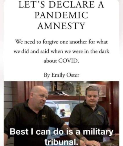 FB_IMG_1667518256128