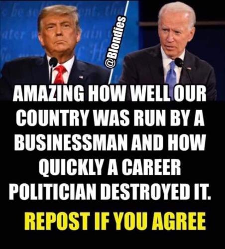 FB_IMG_1667587636814