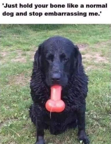 FB_IMG_1668968914381