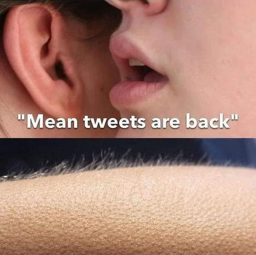 twitter32