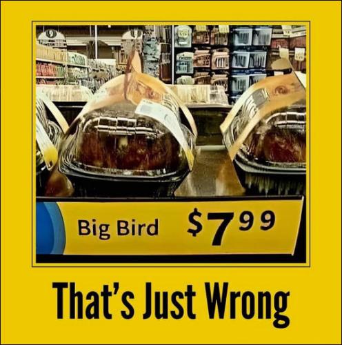 big bird00