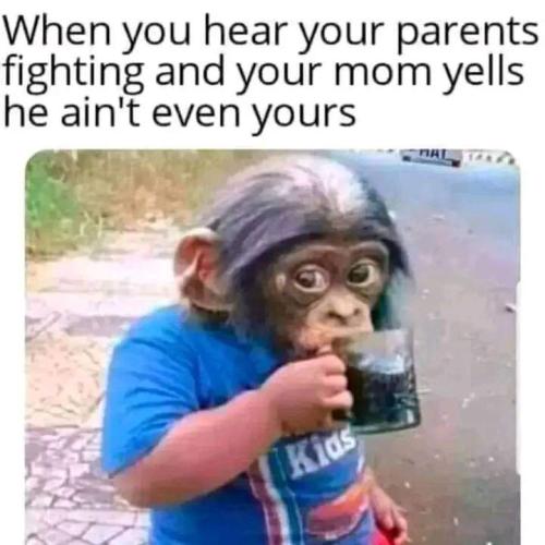 FB_IMG_1668090788502